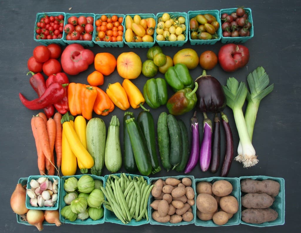 Sandbrook Meadow Farm