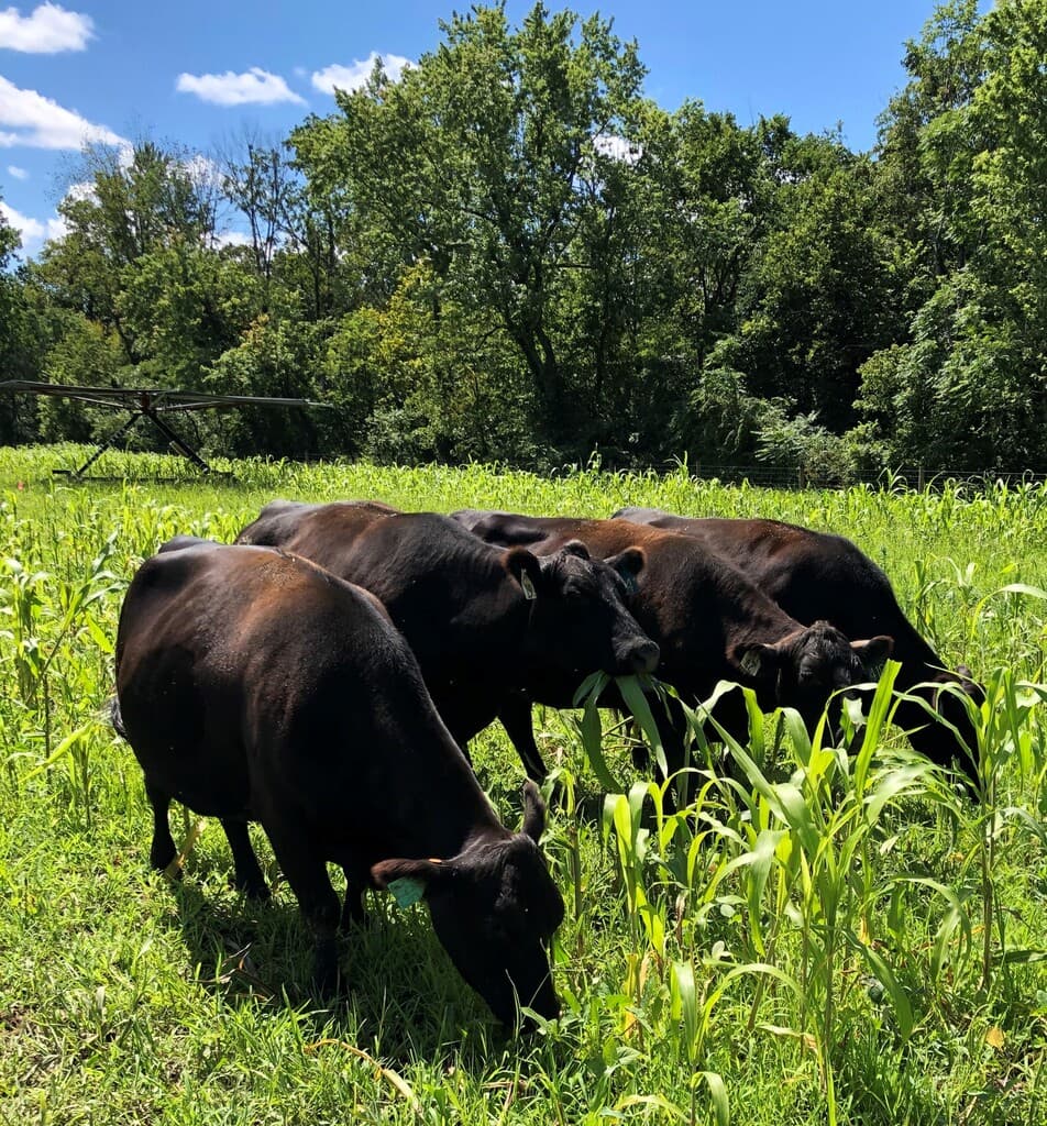 Greenacres Farm Market