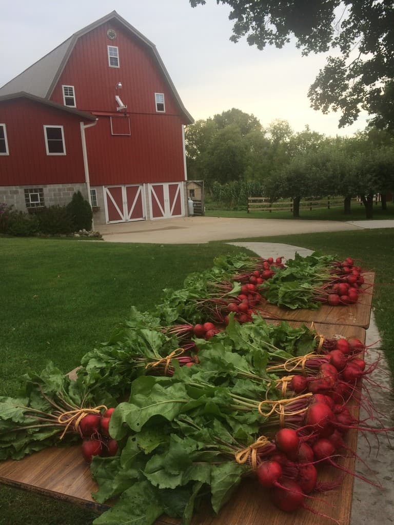 Pheasant Run Farm, LLC