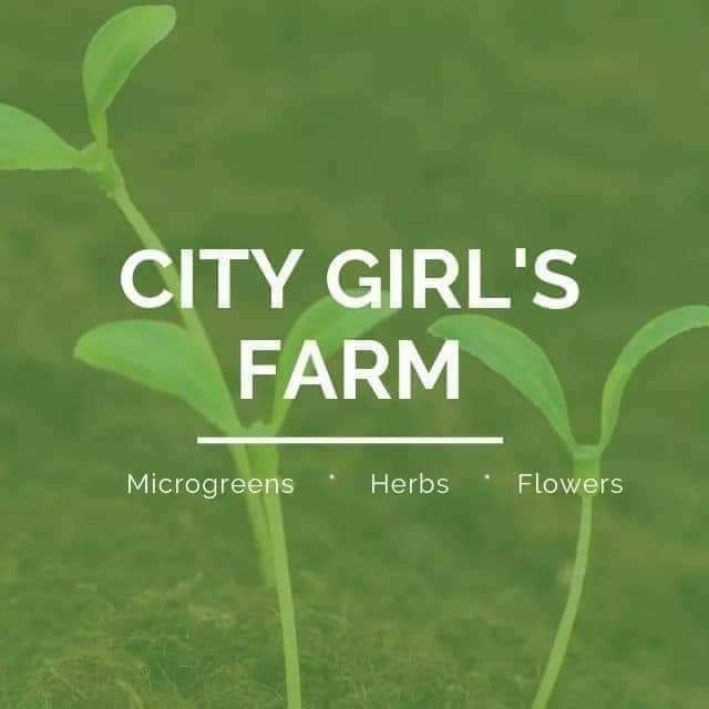 City Girl's Farm