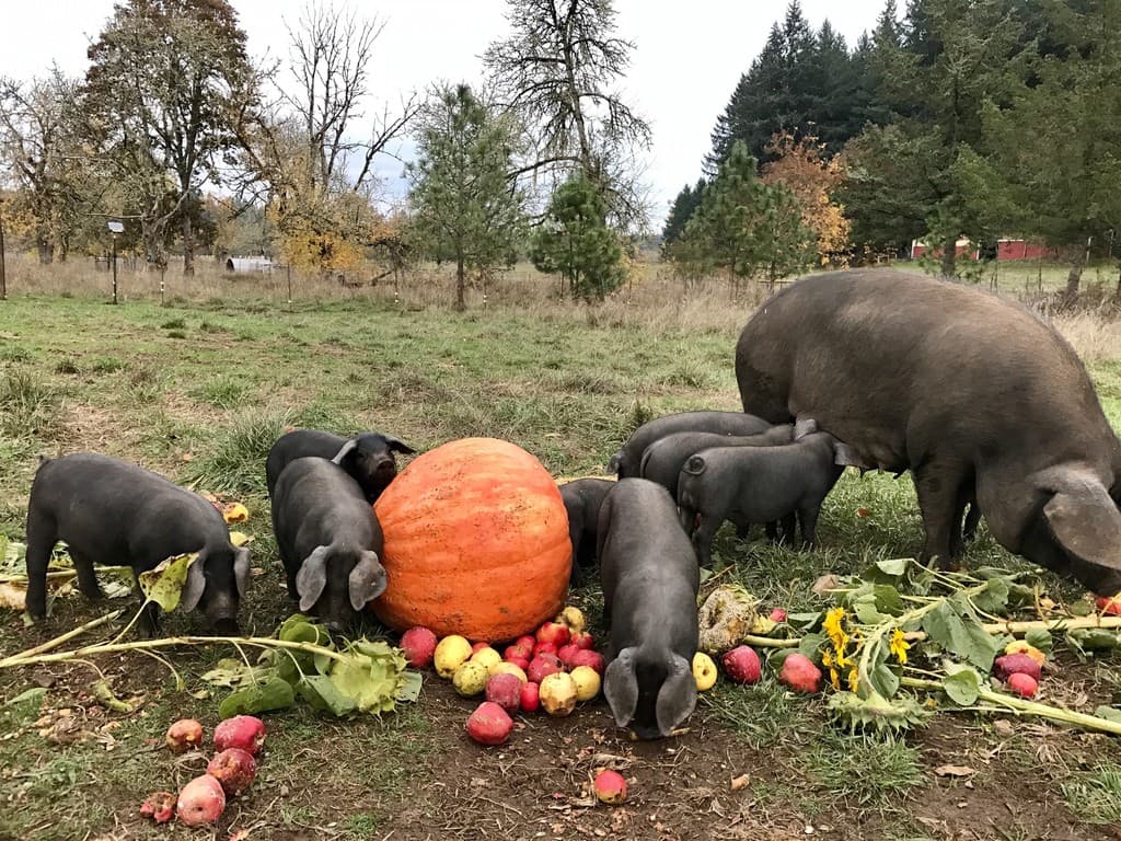 Mount Hope Heritage Farm