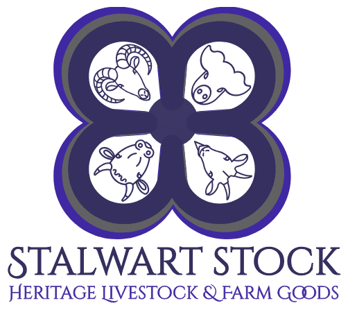 Stalwart Stock