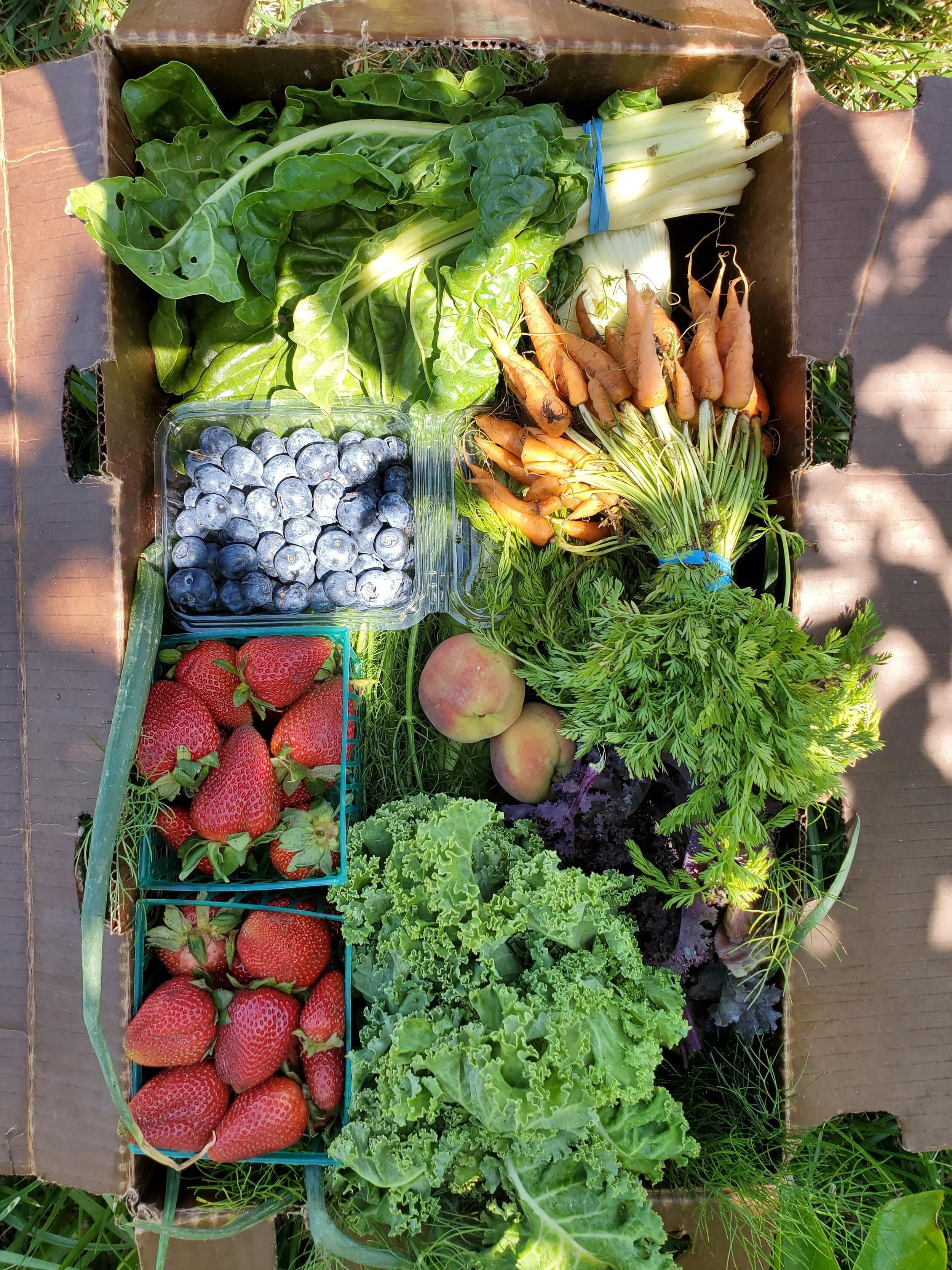 Heart of the City Farmers' Market