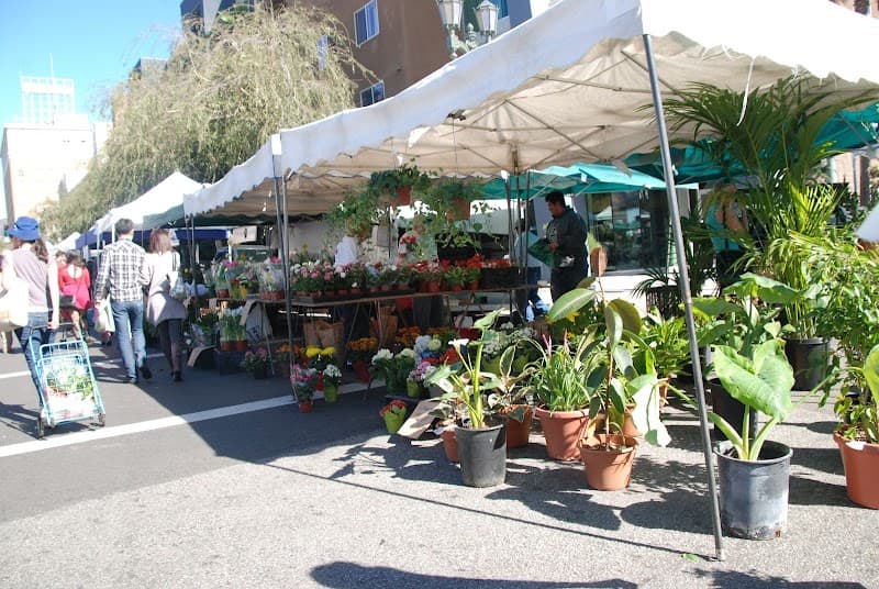 Hollywood Farmersβ Market