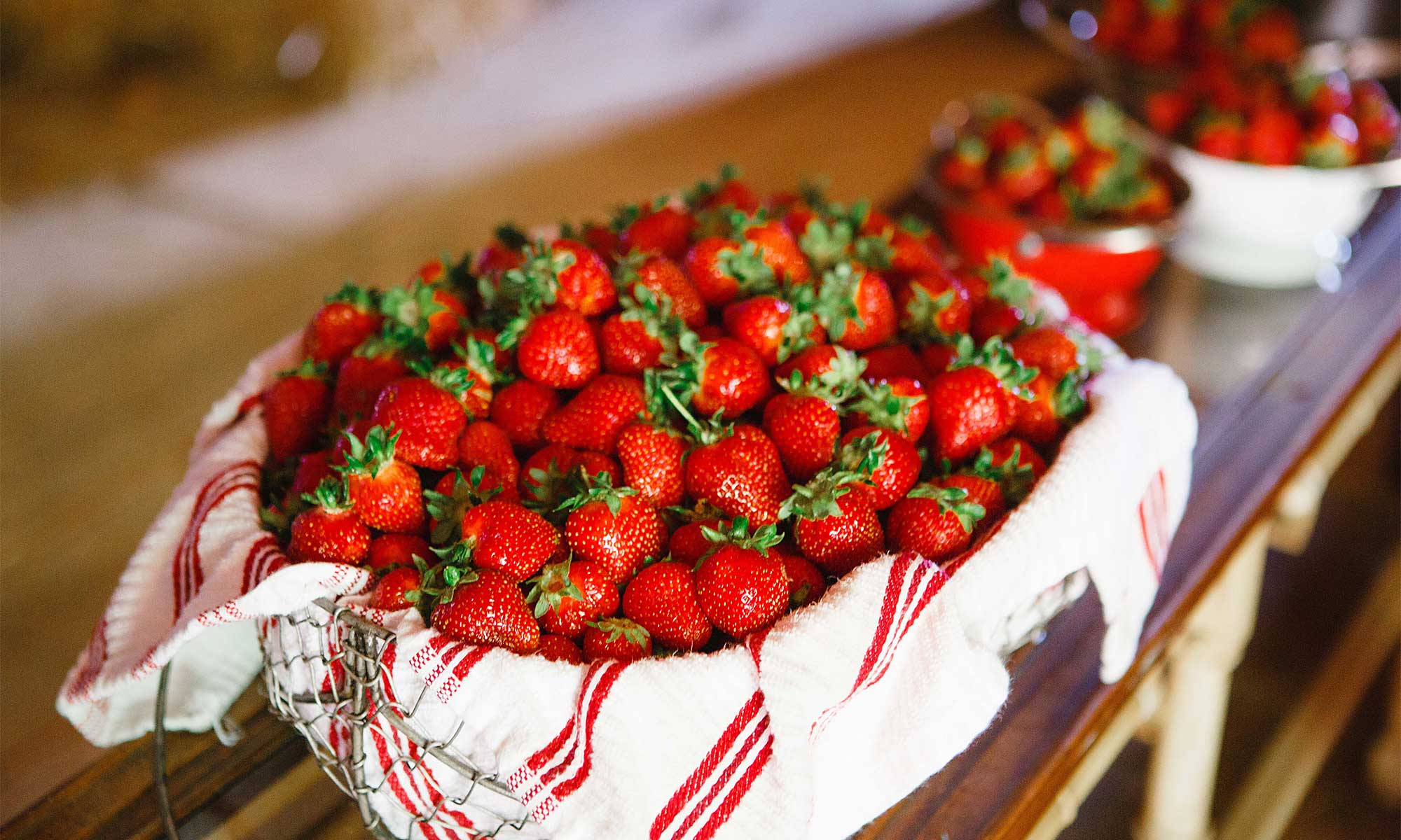 Wegmeyer Farm - Oatland Strawberry Picking
