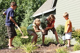 Daniel's Farm & Greenhouses