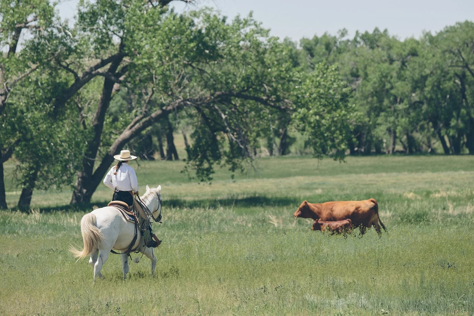 Flying Diamond Ranch