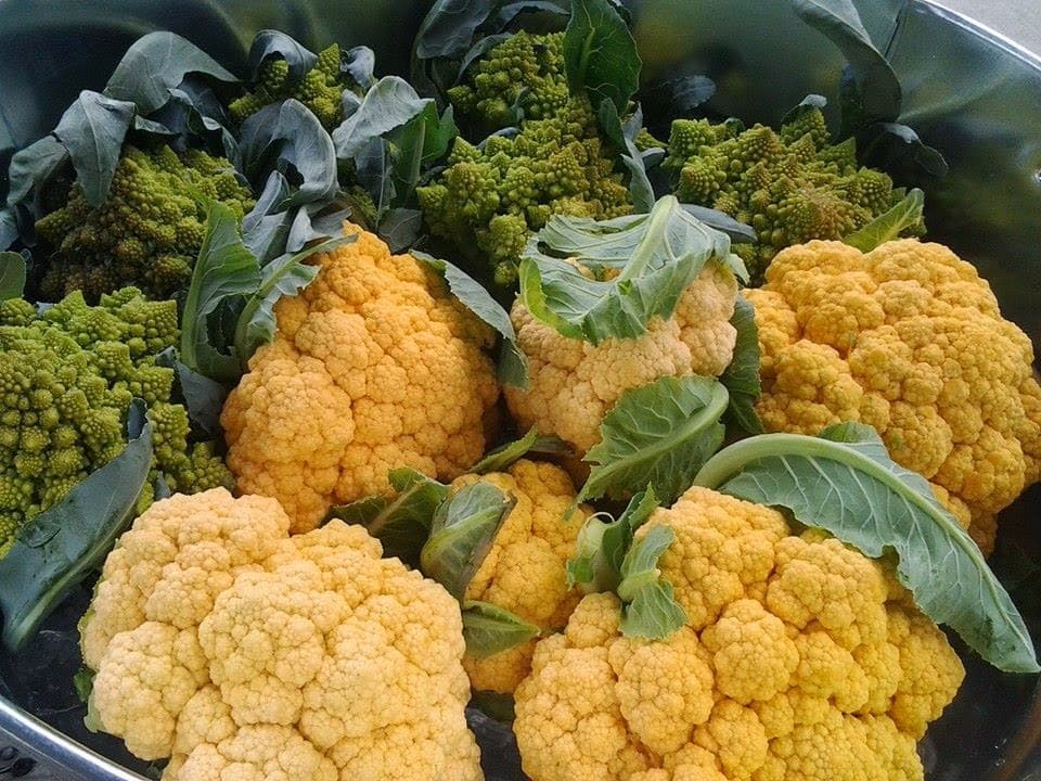 Southridge Farmers' Market