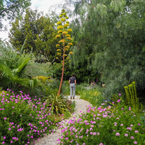 The Ruth Bancroft Garden & Nursery