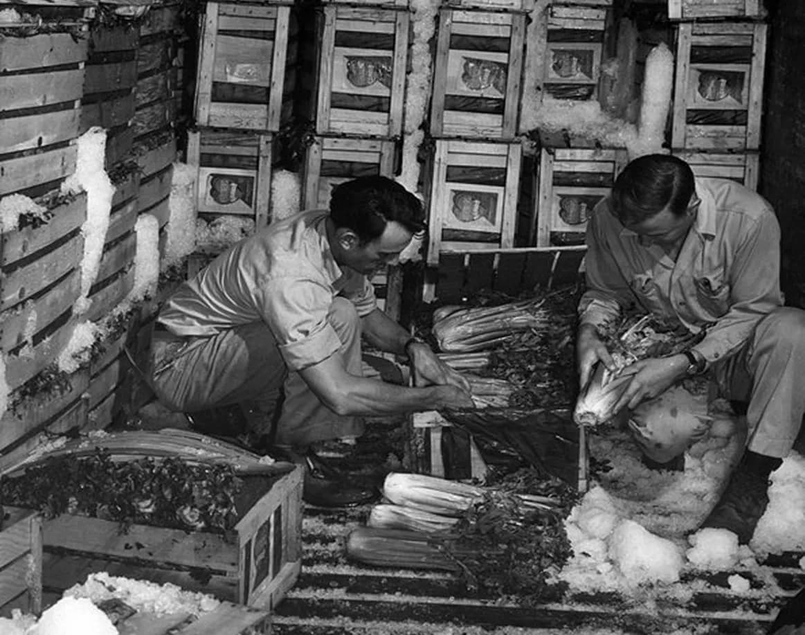 State Garden Incorporated