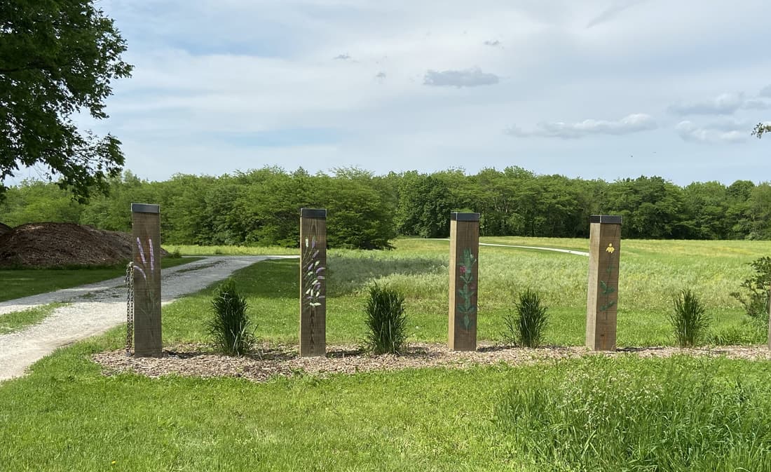 Edge of the Woods Raspberry Farm