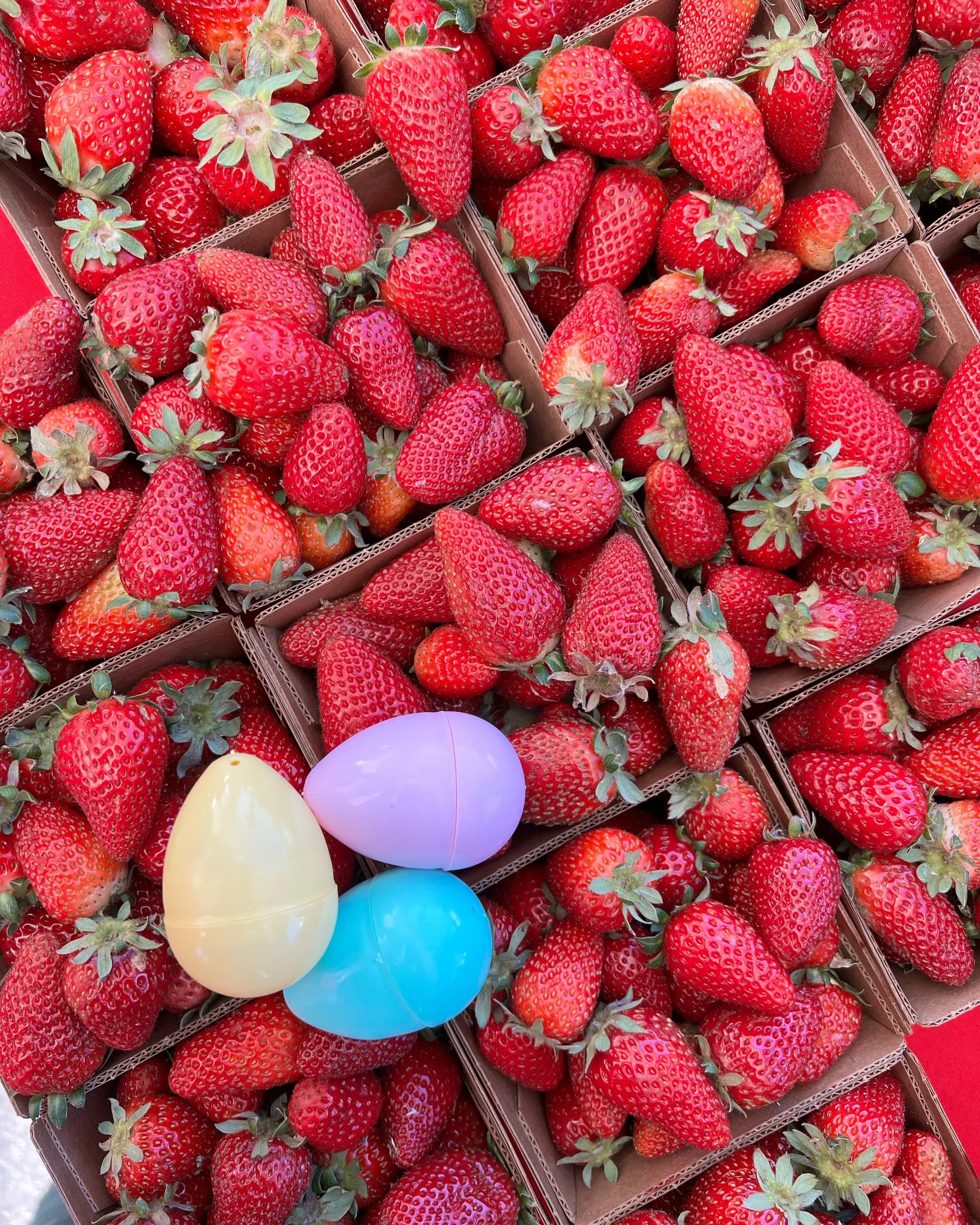 Diablo Valley Farmers' Market