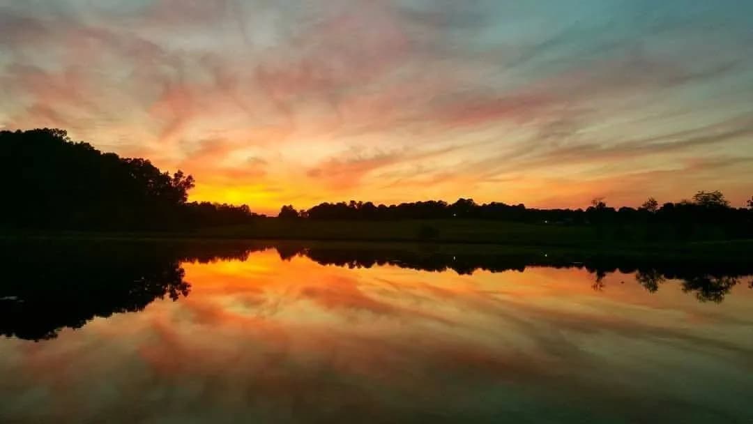 Johnny Wilson Farm Supply/road side produce stand