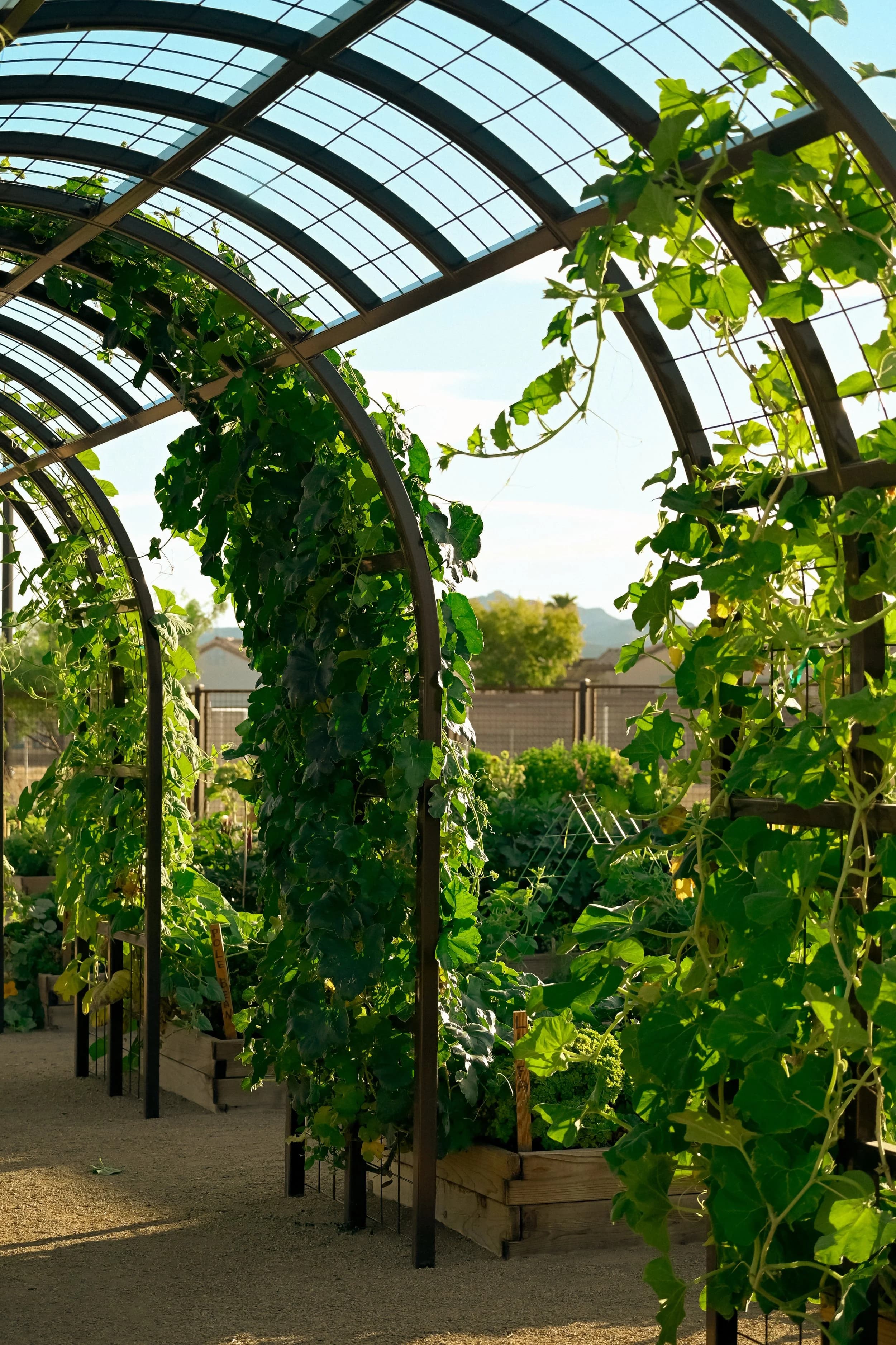 Garden Farms of Nevada, Las Vegas | Garden Farms Foundation