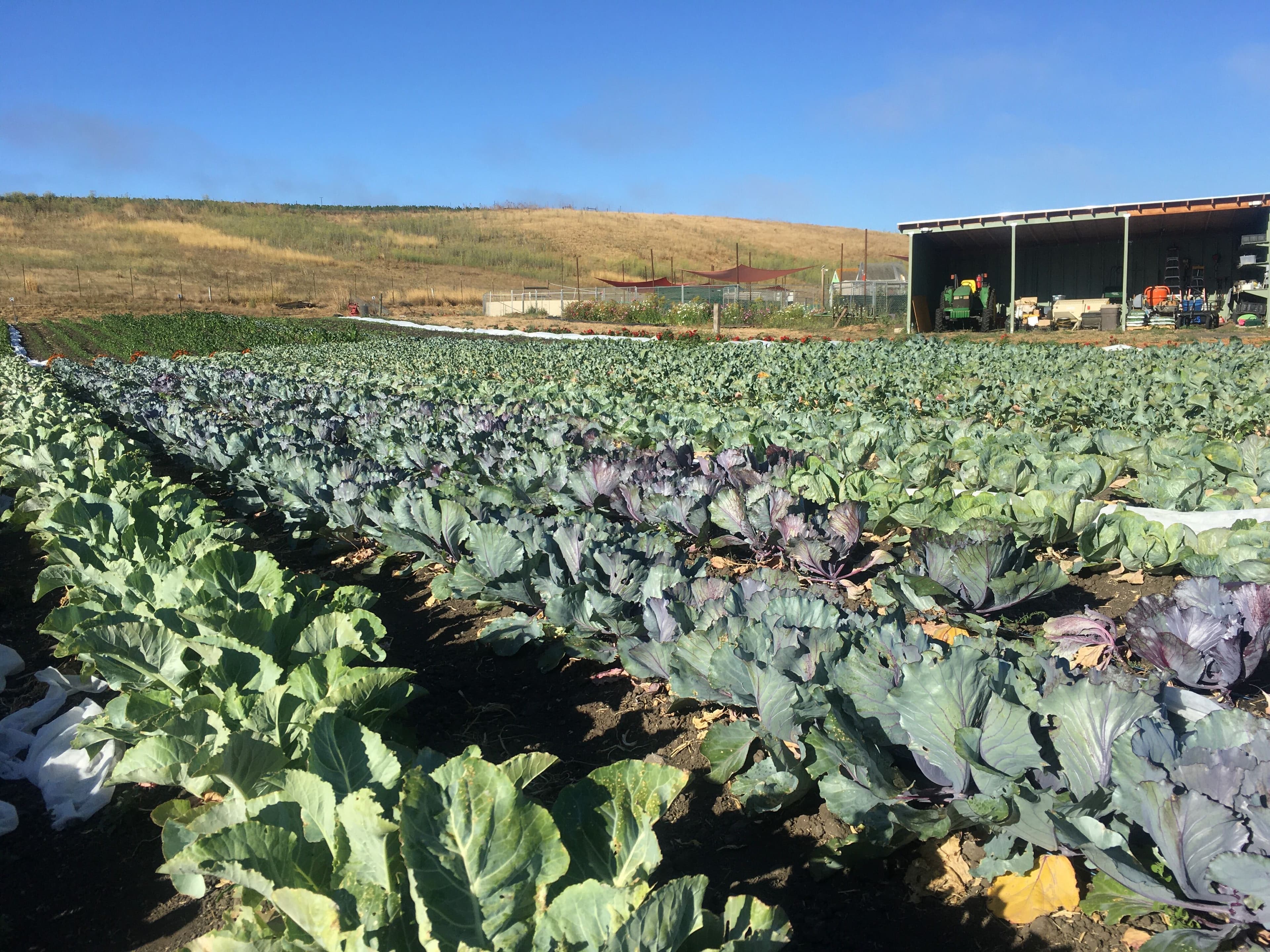 Firstfruits Farm SLO