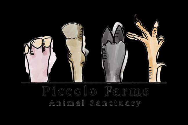 Piccolo Farms Animal Sanctuary