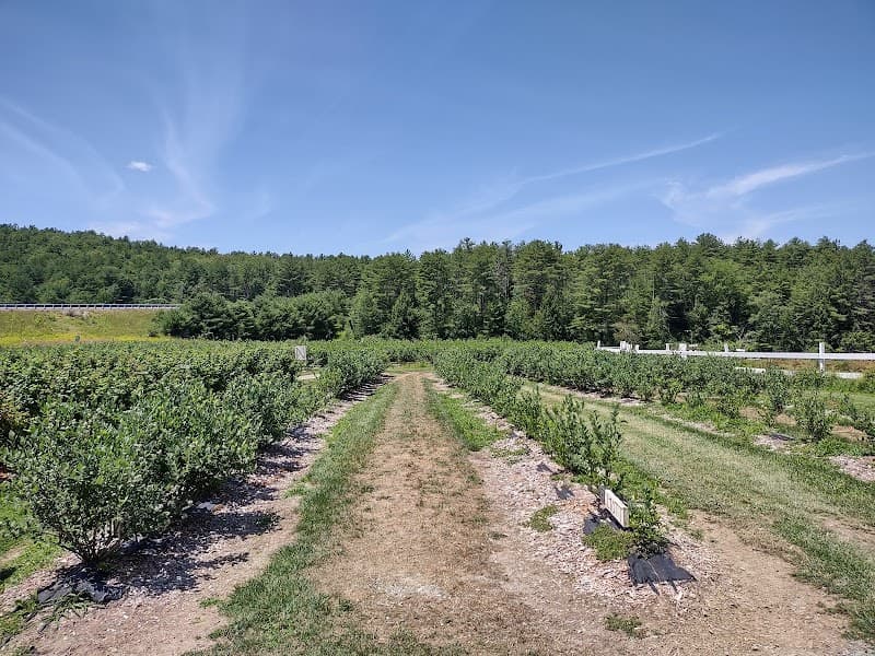 Breezy Meadows Orchard & Nursery
