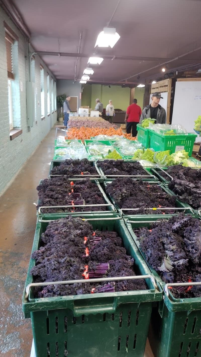 New Root's Fresh Stop Project