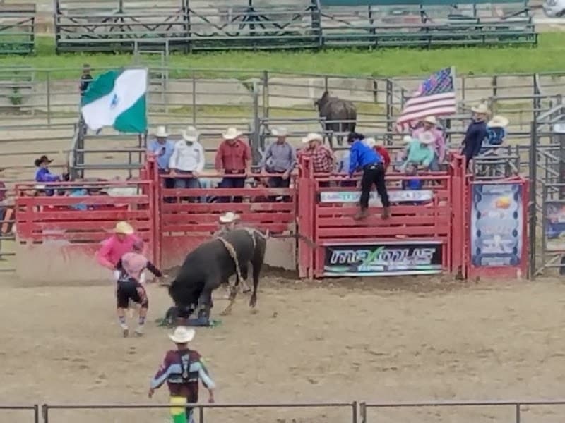 Brockton Farmers Market