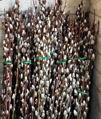 The Greenfield Berry Farm