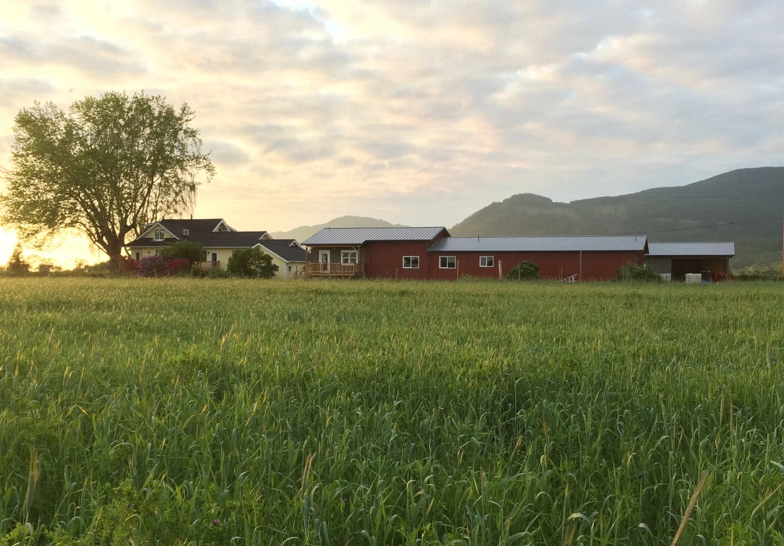 Blanchard Mountain Farm