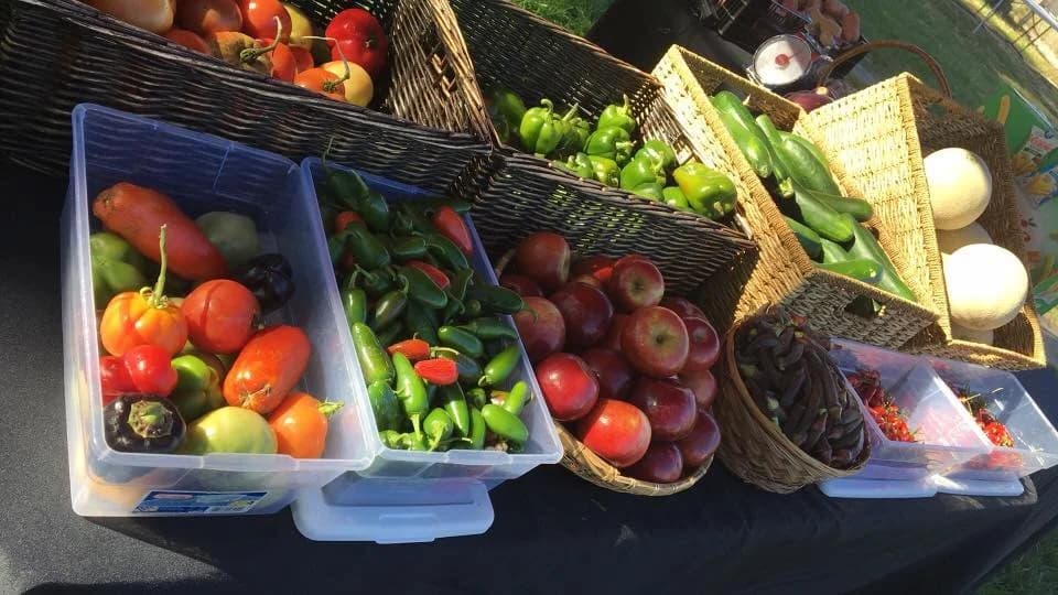 Village Family Farms