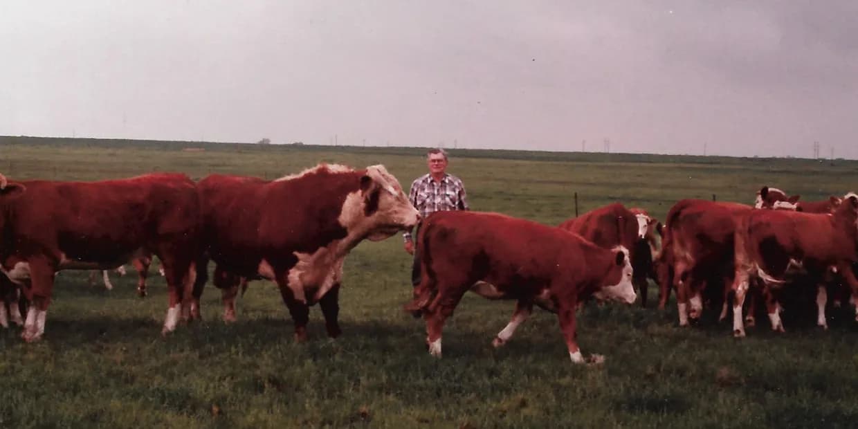 Summerfield at Tate Farms