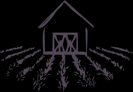 White Oak Lavender Farm & The Purple WOLF Vineyard