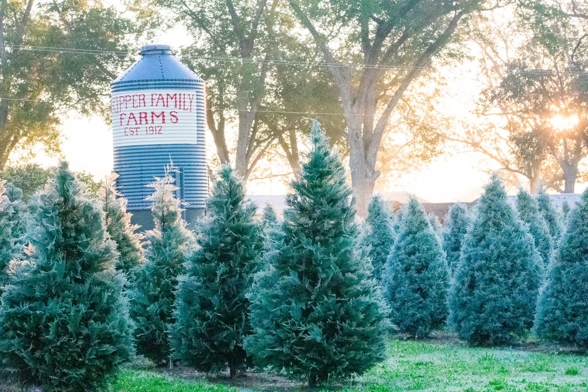Skipper Family Farms, Est. 1912