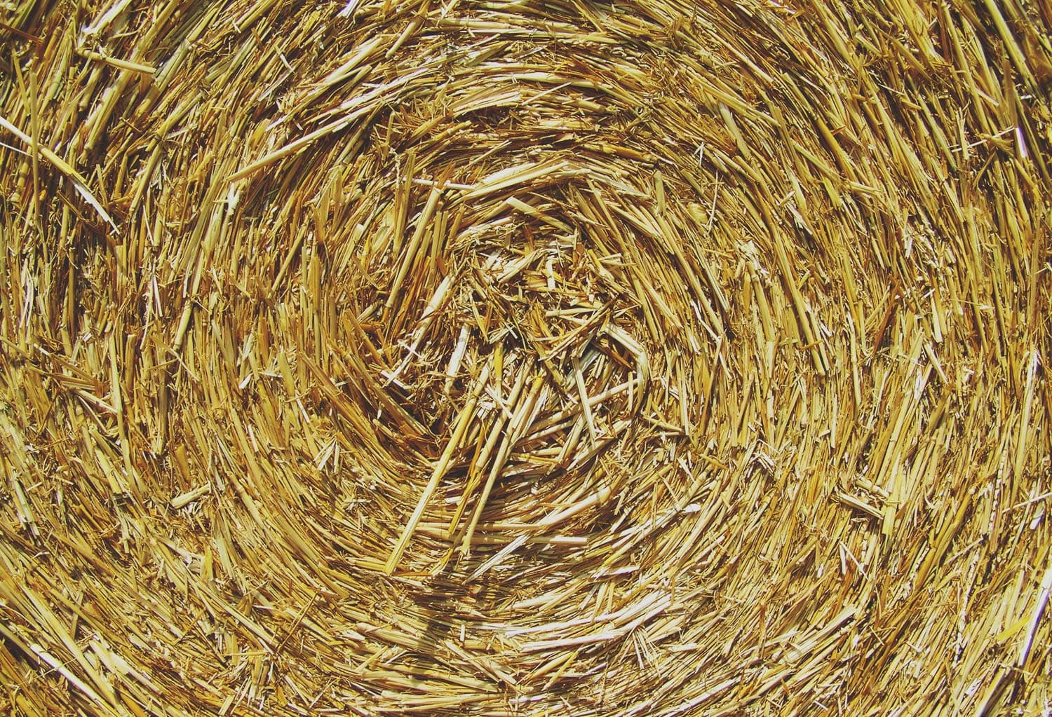 Dodge Nature Center โ Main Property