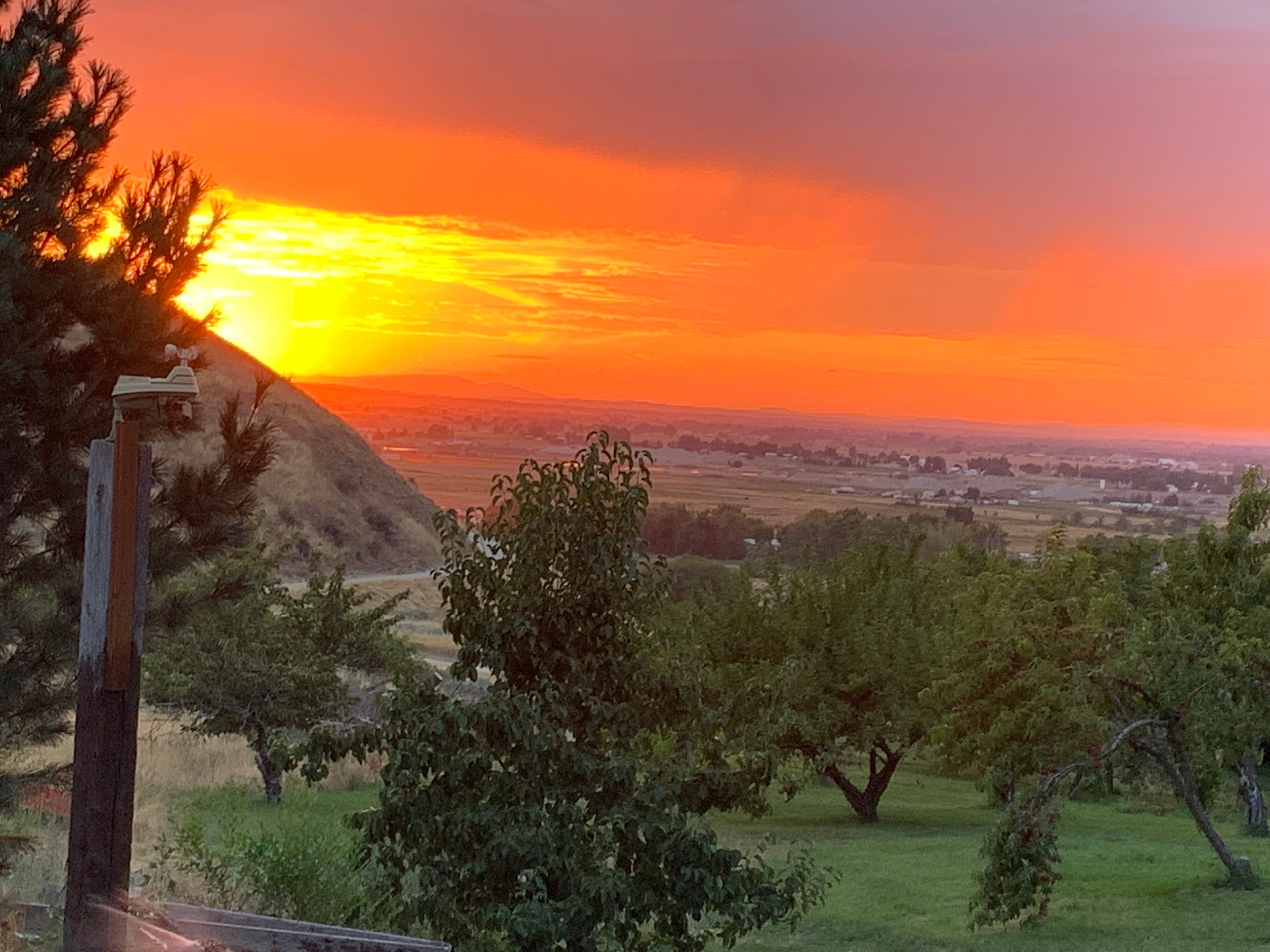 Tylers Rocky Point Orchard