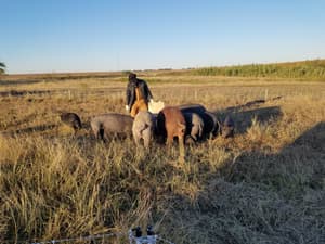 Martin Heritage Farm