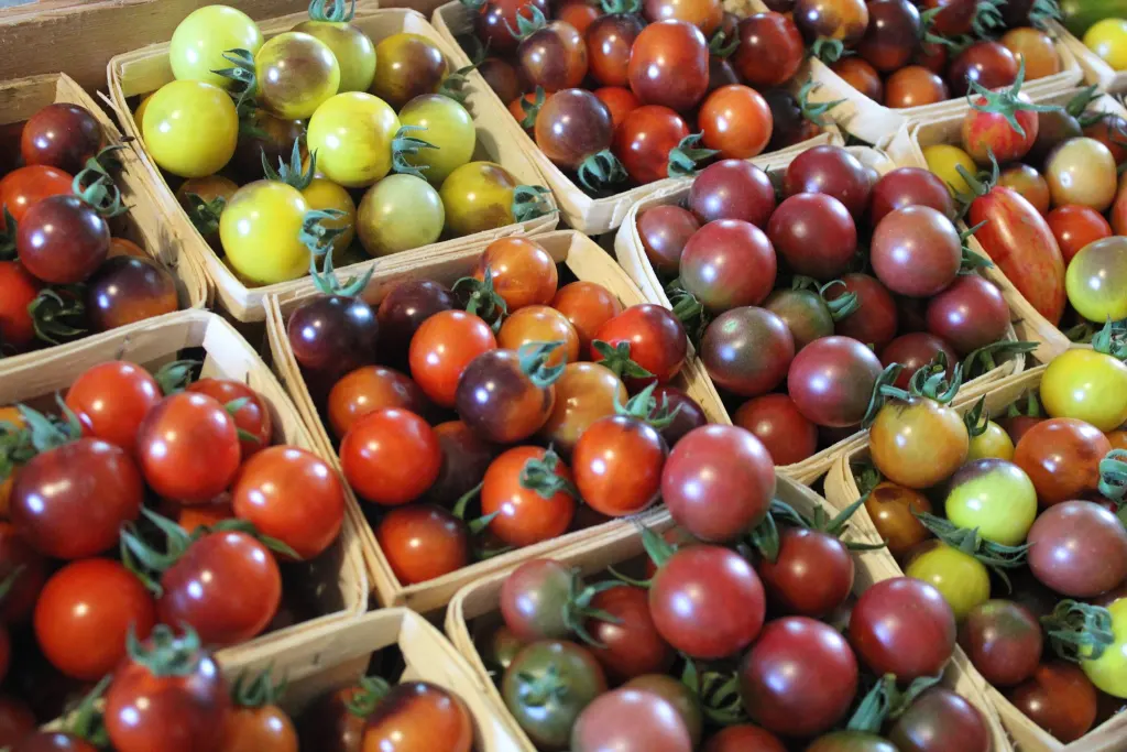 Kimball Ridge Family Market