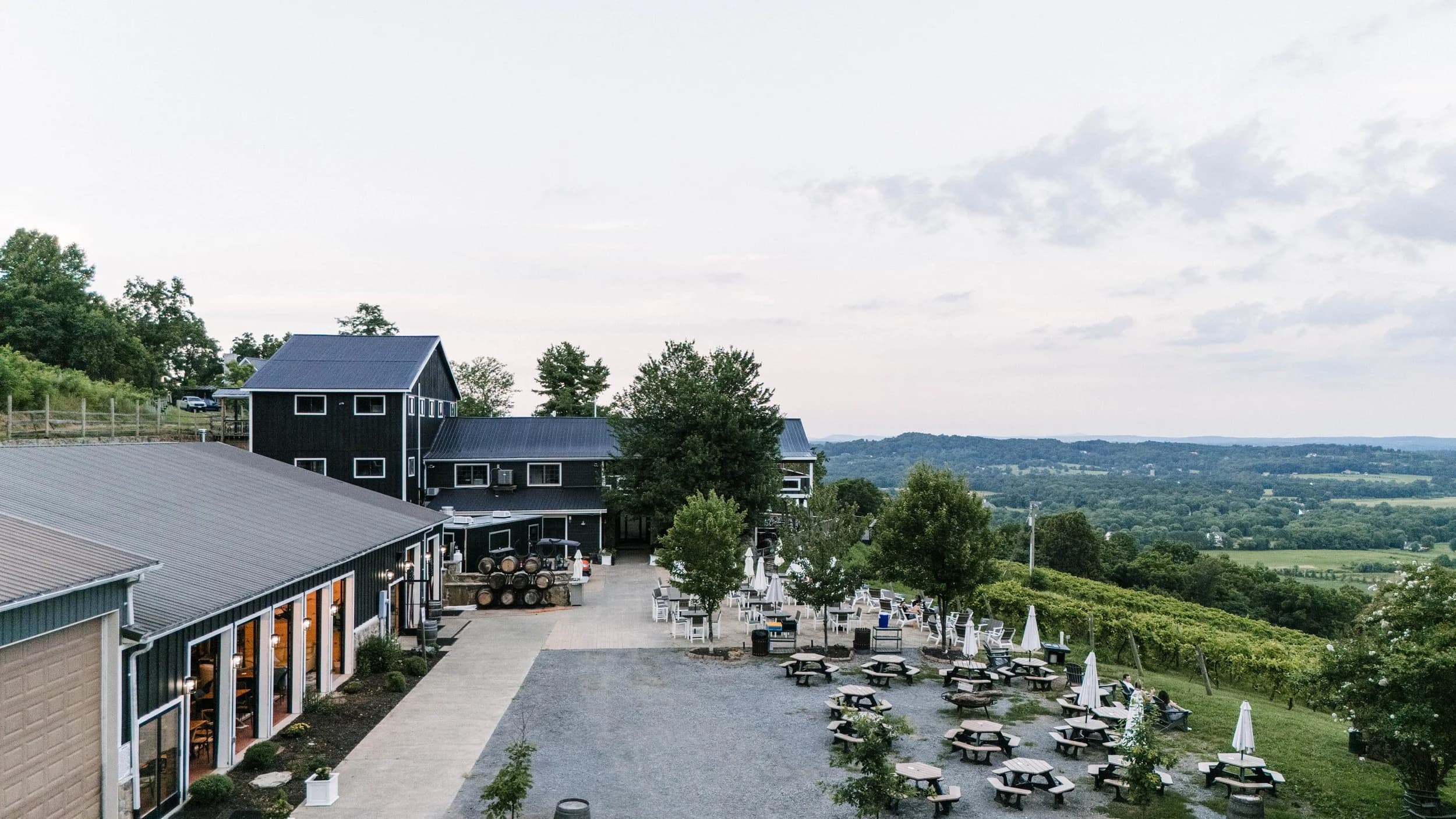 Bluemont Vineyard