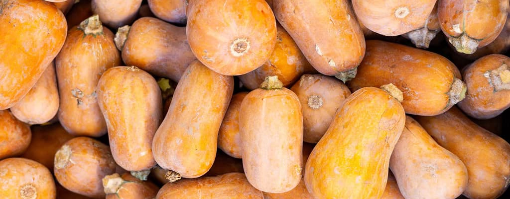 Mar Vista Farmers' Market