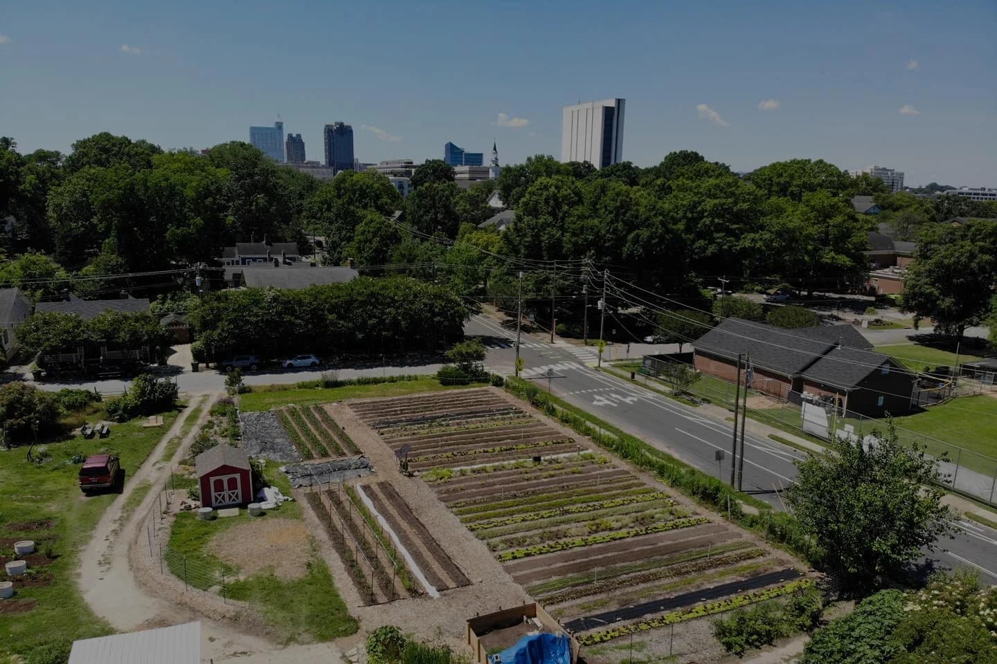 Raleigh City Farm