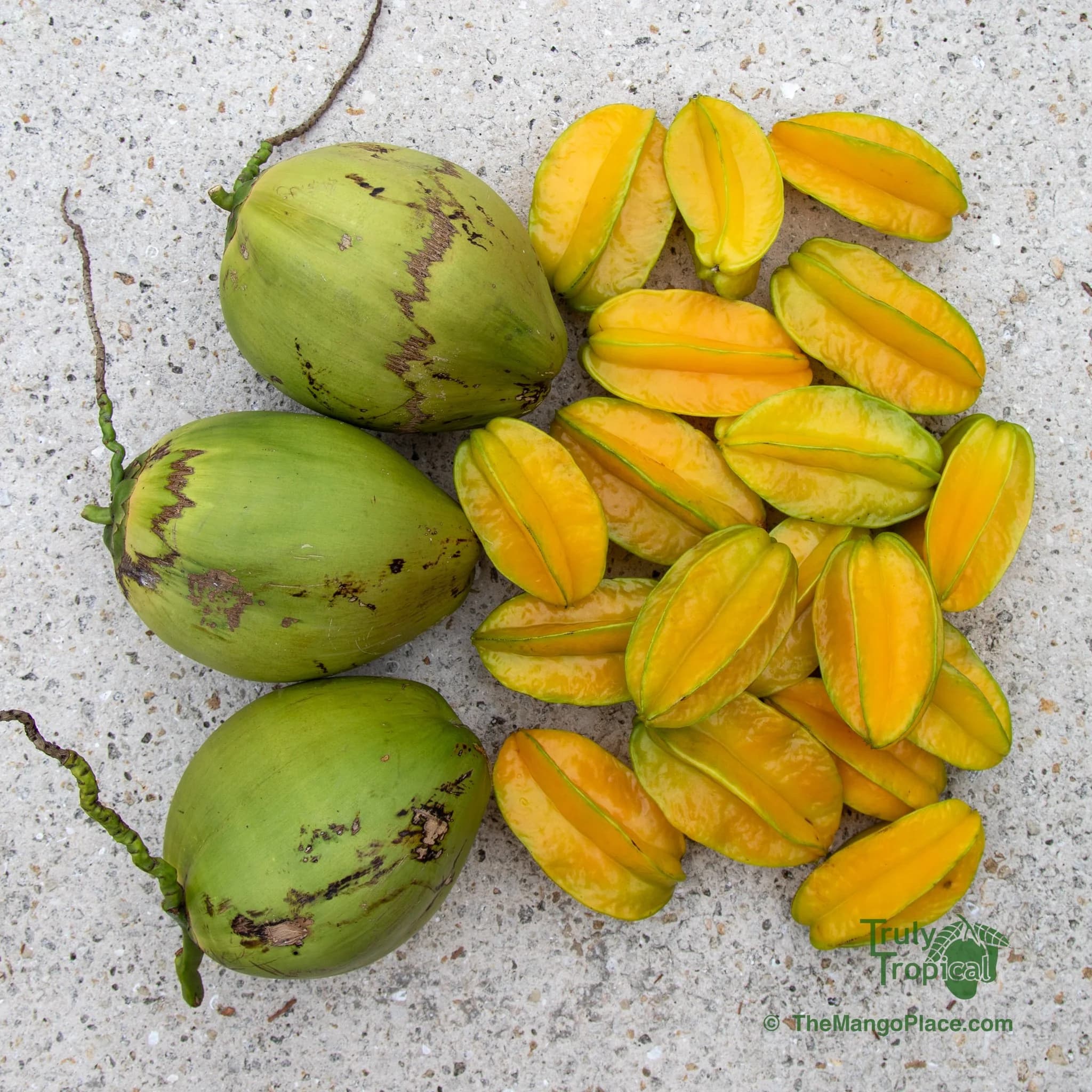 Truly Tropical Mangos & Fruit