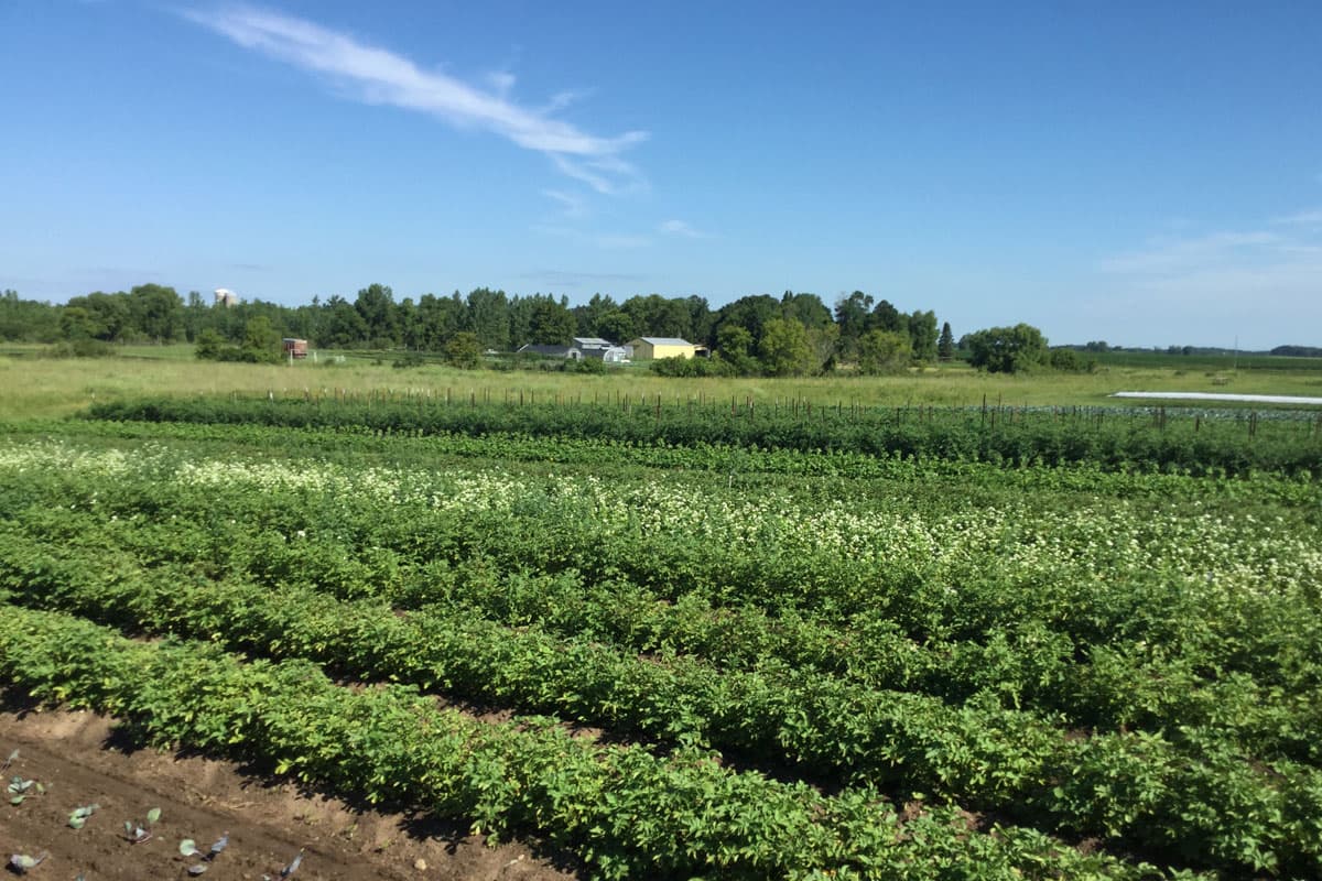 Prairie Drifter Farm