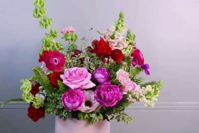 WildAugust Flower Farm