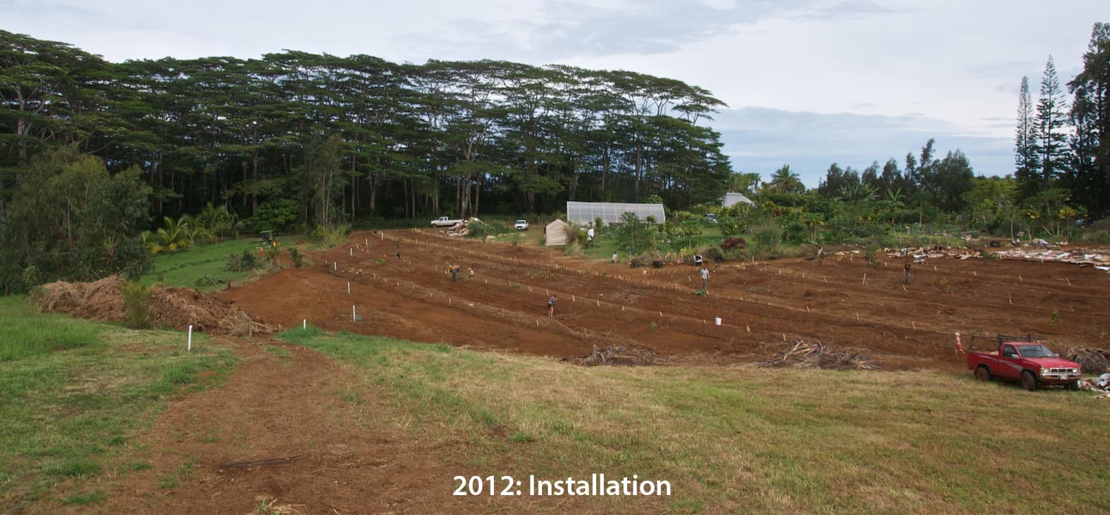 Kauaʻi Food Forest
