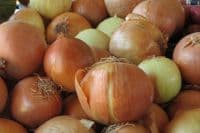 North Raleigh Farmers Market