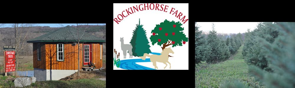 Rocking Horse Farm