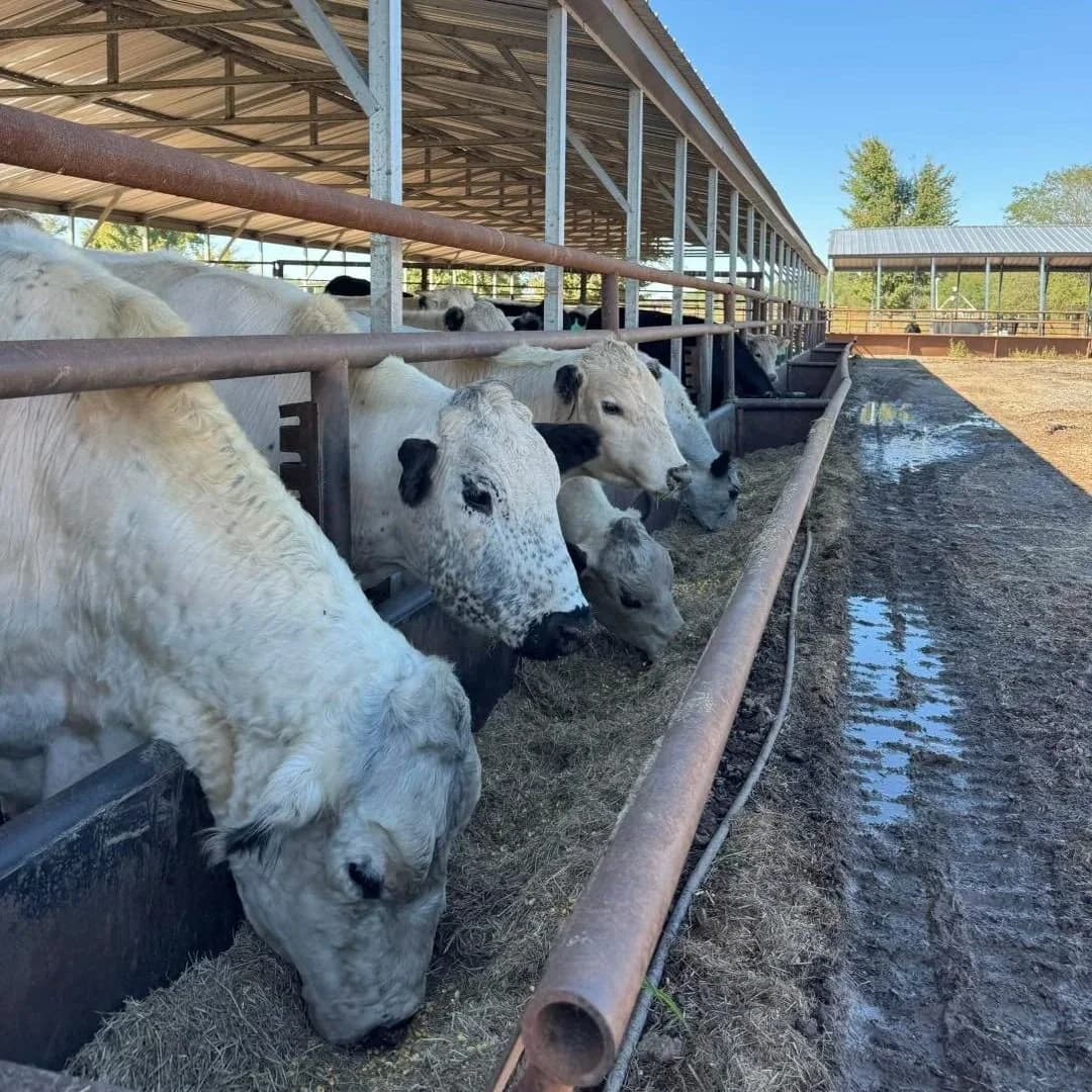 Smith Family Farms Market