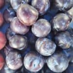 Norwalk Farmers Market