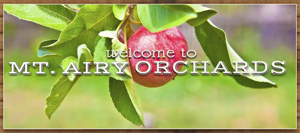Mt Airy Orchards