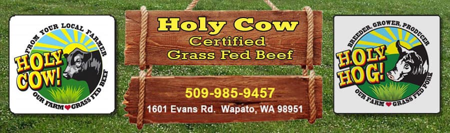 Holy Cow! Grass Fed Beef