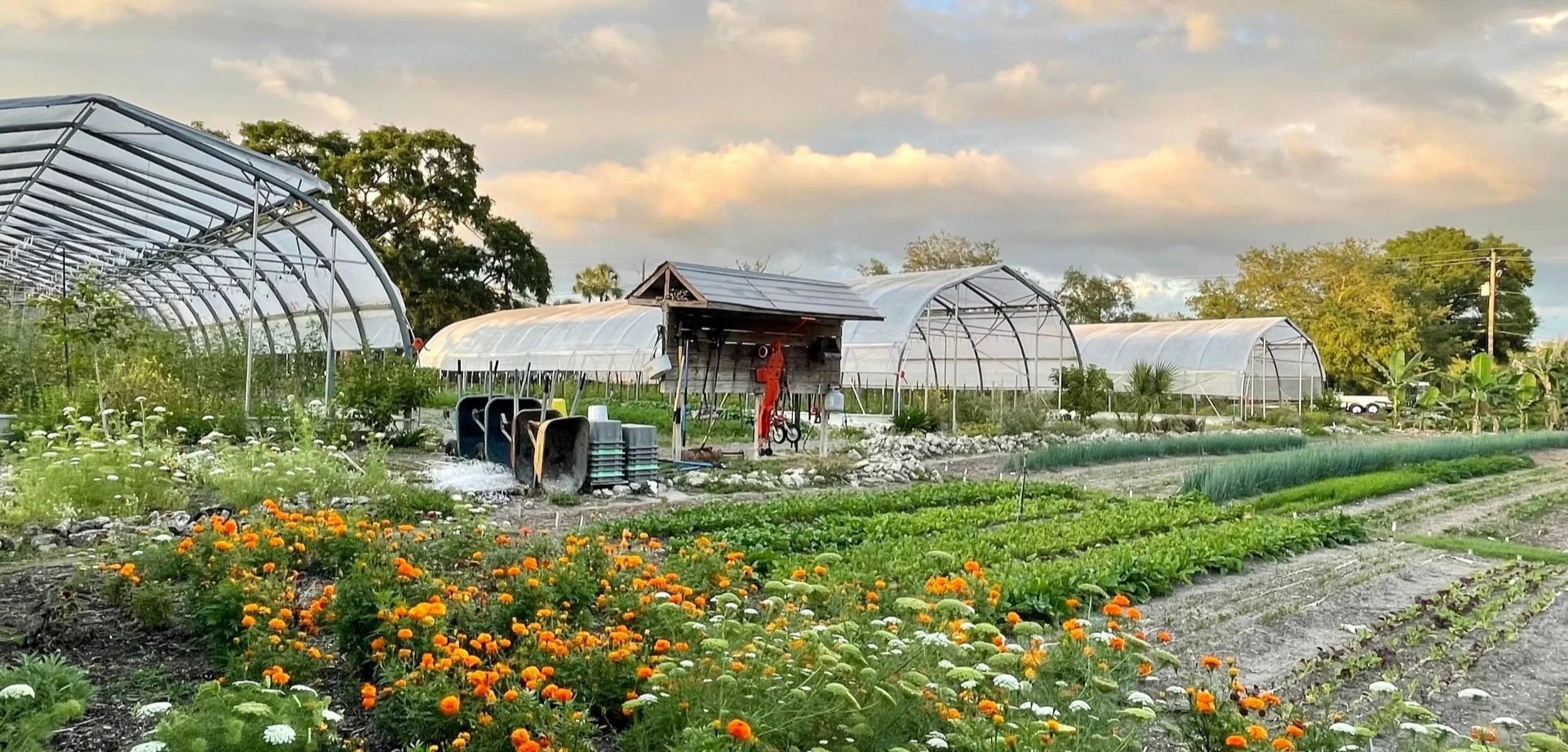 Meacham Urban Farm