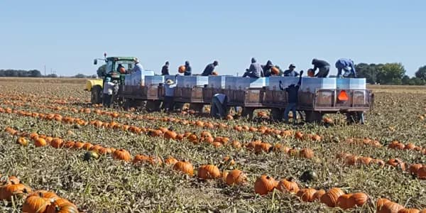 Dionisio Produce & Farms 1207 39th lane