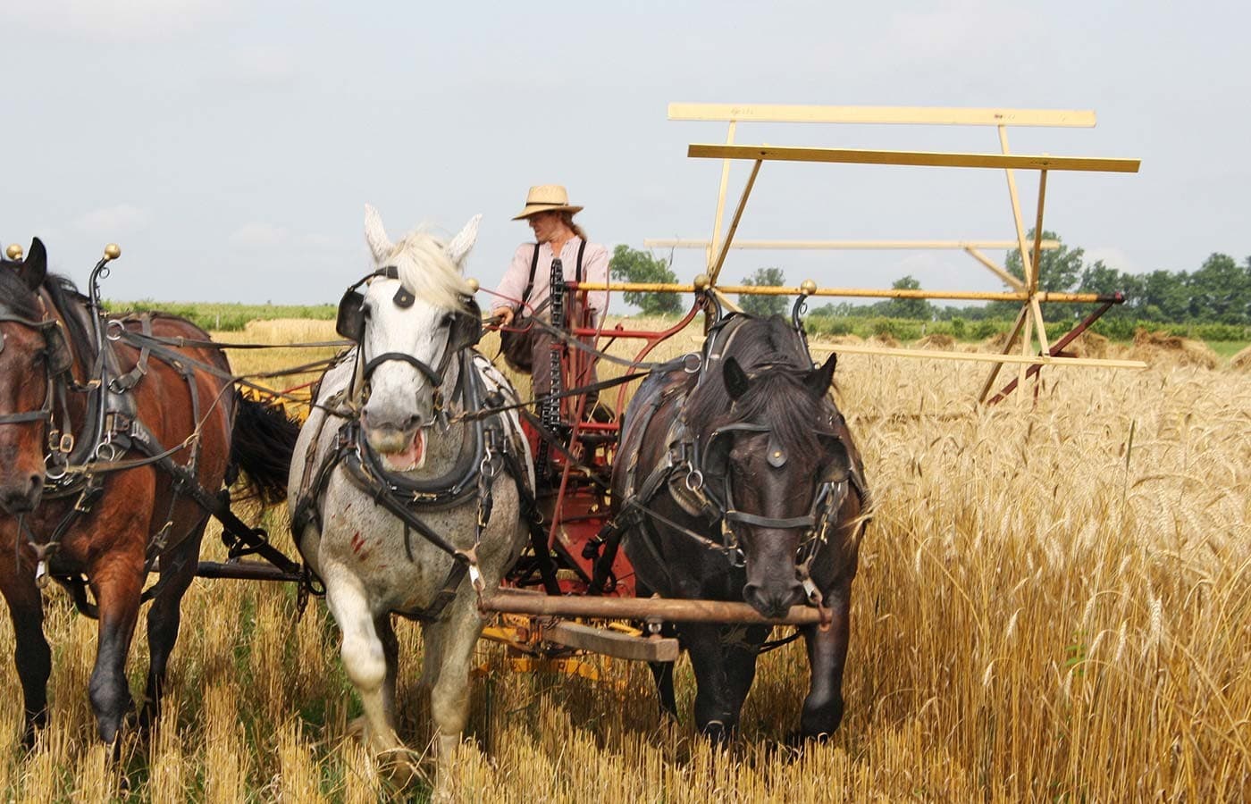 Slate Run Living Historical Farm