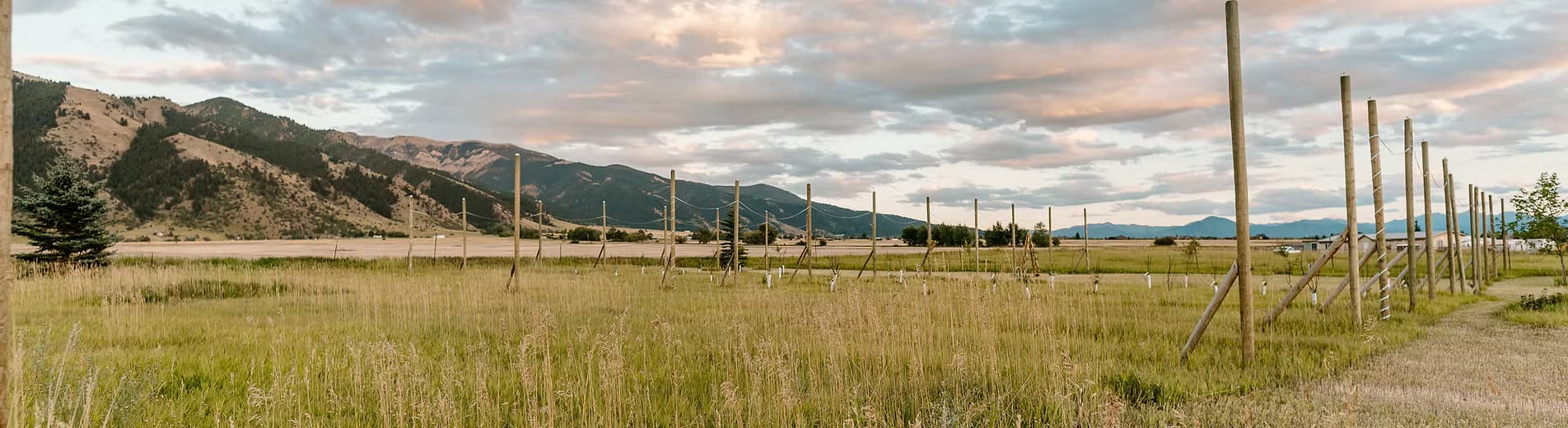 Bridger Berries Farm